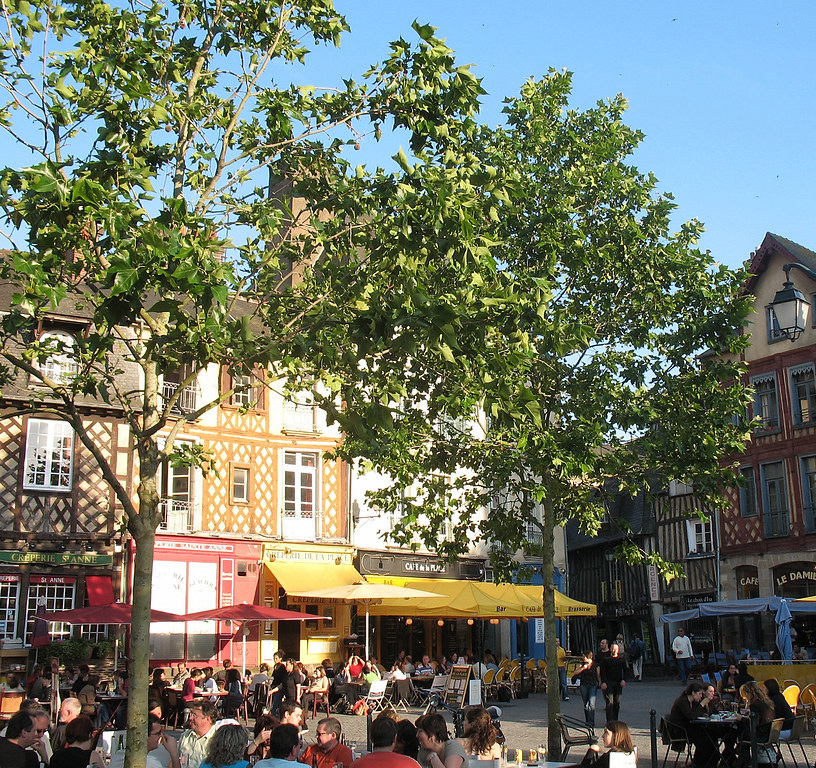 Place St Anne, Rennes